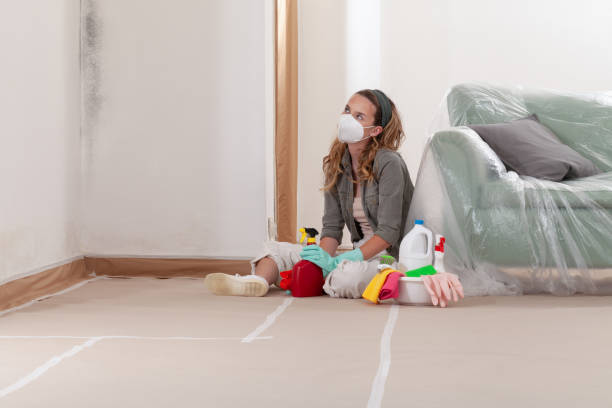Reliable Mold Inspection And Testing contractor in Warren, NJ by Car Mold Remediation